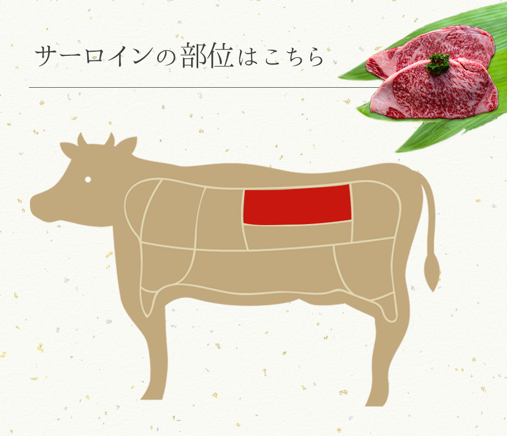 宮崎牛サーロインステーキ 2kg 5回定期便　G085