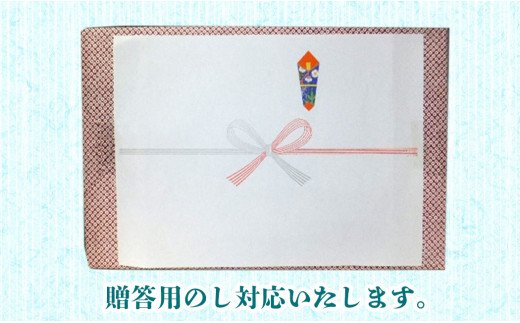 【渡邊味噌醤油醸造】へべす入りチキン南蛮甘酢とめんつゆのセット 計6品　A372