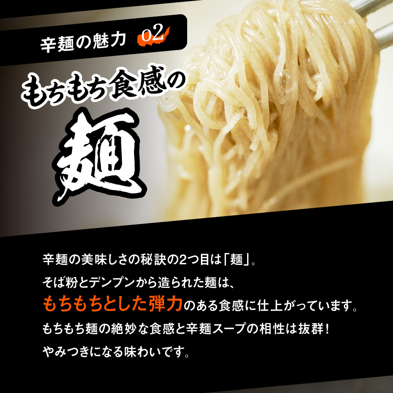 辛麺4食・なんこつ1セット【6カ月定期便】　E067