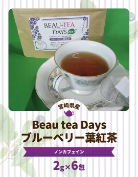 Beau tea Days ブルーベリー葉 紅茶　N048-YZA096