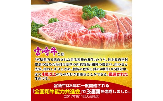 宮崎牛焼肉用800g（A5等級）　C402