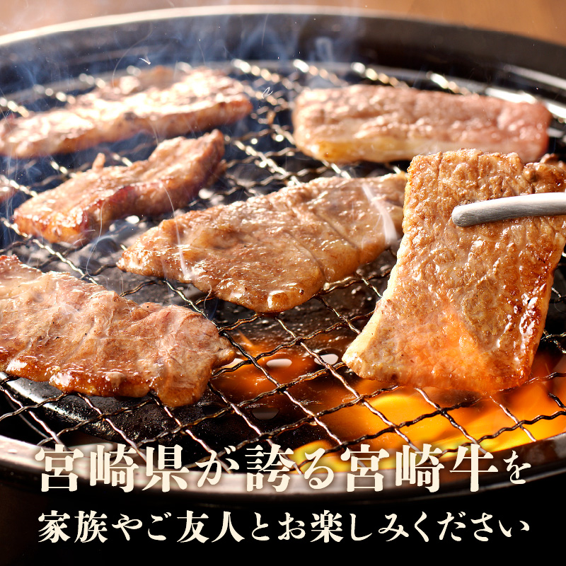 宮崎牛極み上焼肉セット 合計 300g　N0140-B083