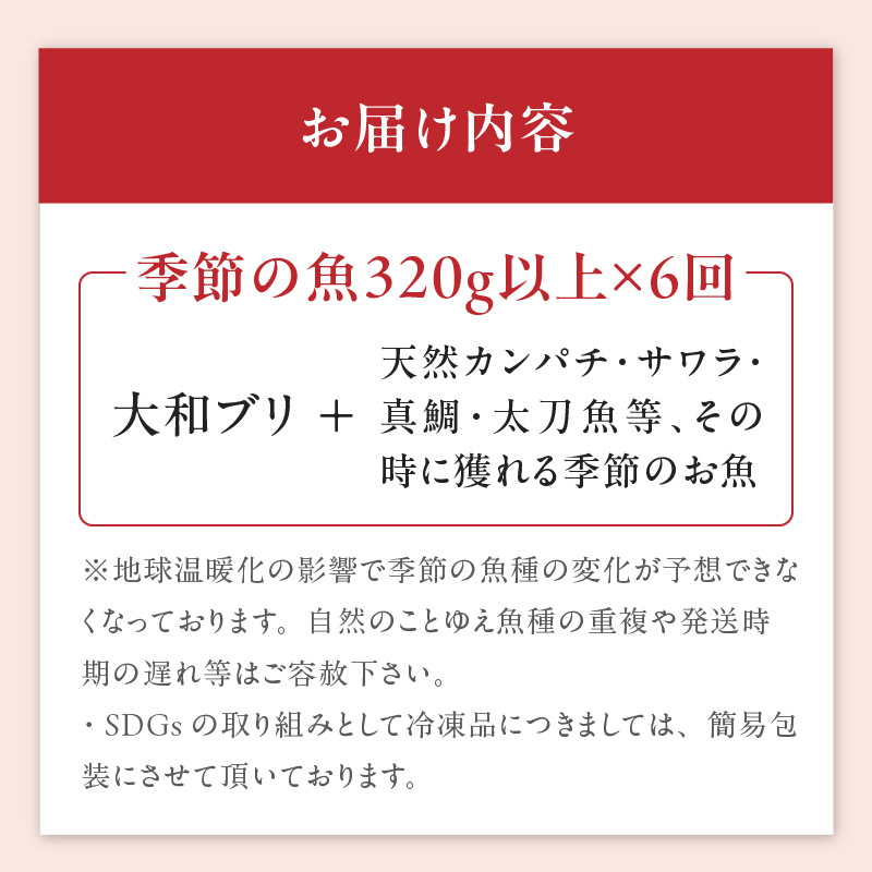 【6ヶ月定期便】大和海商 こだわり漁師のお刺身　4人前　N072-D0163