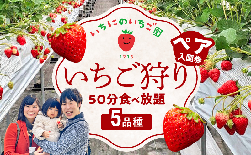 いちご狩り 5品種 食べ放題 50分 ペア入園券 いちにのいちご園　N085-YA839