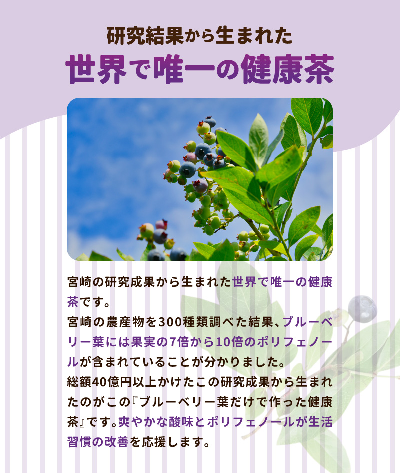 宮崎県産 ブルーベリー葉 だけで作った 健康茶 ポリフェノール　N048-YZA095