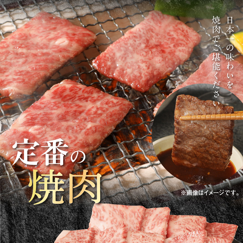 宮崎牛 肩ロース 焼肉用 300g 宮崎県産和牛小間切れ 100g 計400g　N0147‐A3324