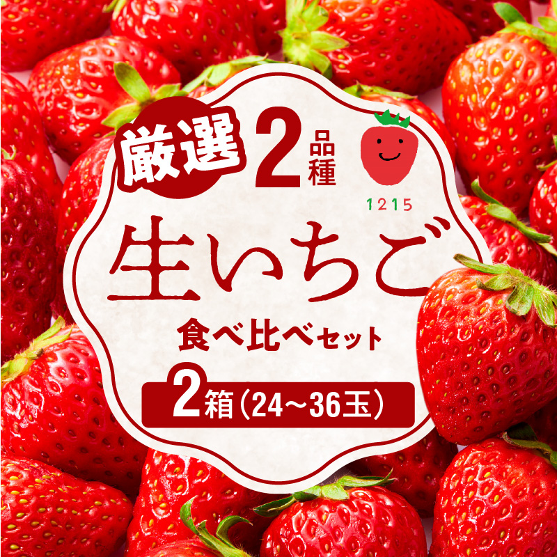 生いちご 厳選 2品種 食べ比べセット いちにのいちご園（2025年1月から発送開始）N085-YB531