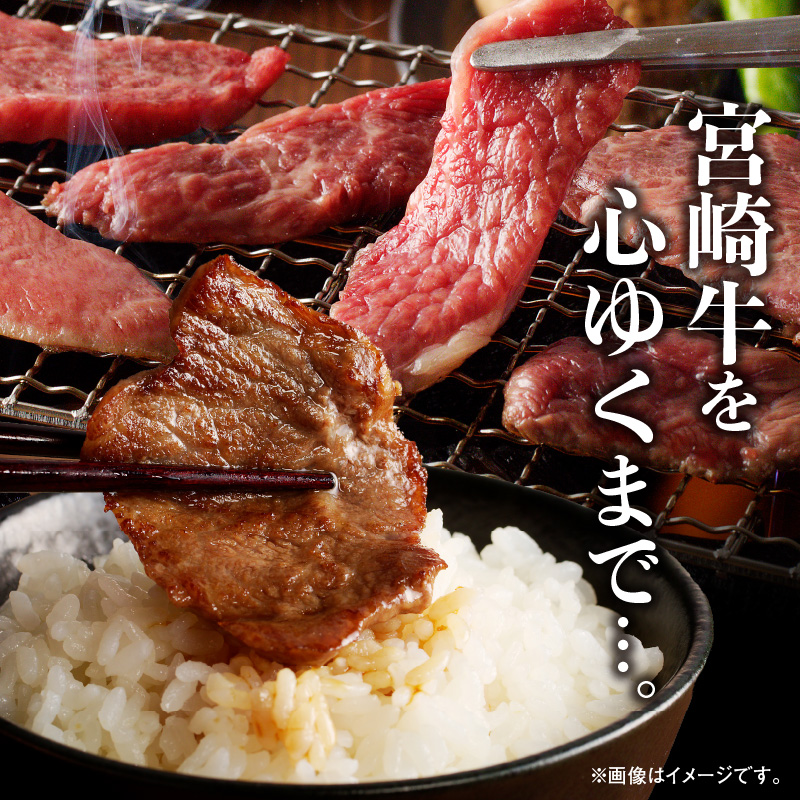 宮崎牛焼肉食べ比べ6種盛600g N0140-YZB237