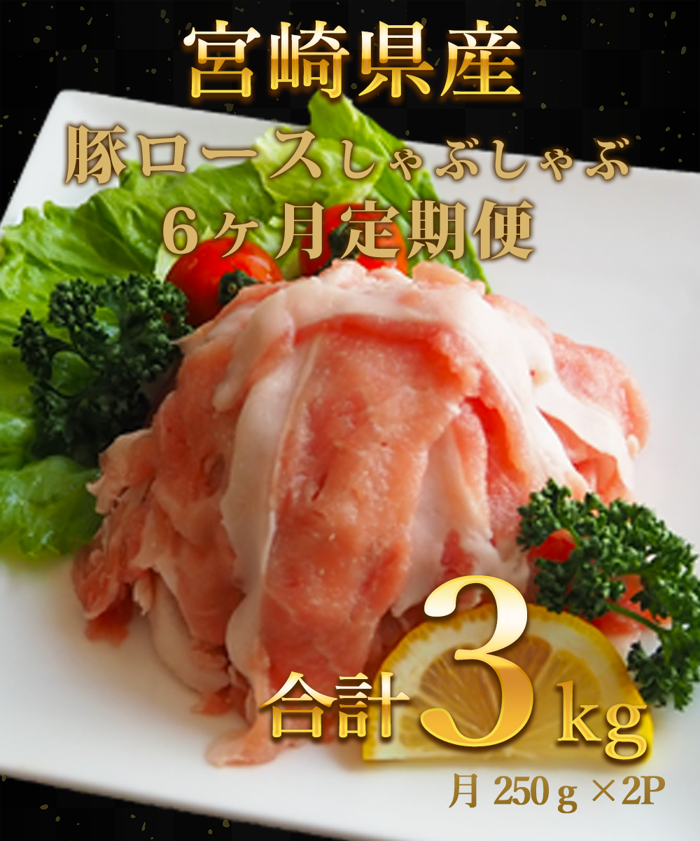 宮崎県産豚ロースしゃぶしゃぶ用 3kg 6回定期便　B614