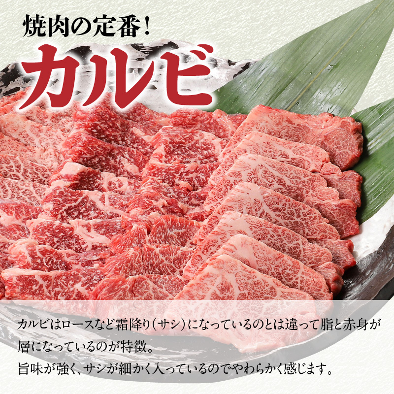 宮崎牛カルビ焼肉 500g　A0206