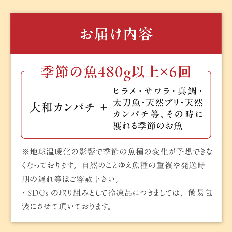 【6ヶ月定期便】大和海商 高級お刺身　6人前　冷凍　N072-F057_2