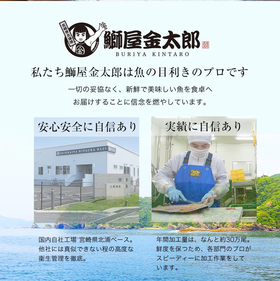 宮崎産 新海屋 鰤屋金太郎 金太郎ぶり 2000g　冷凍　C903_2