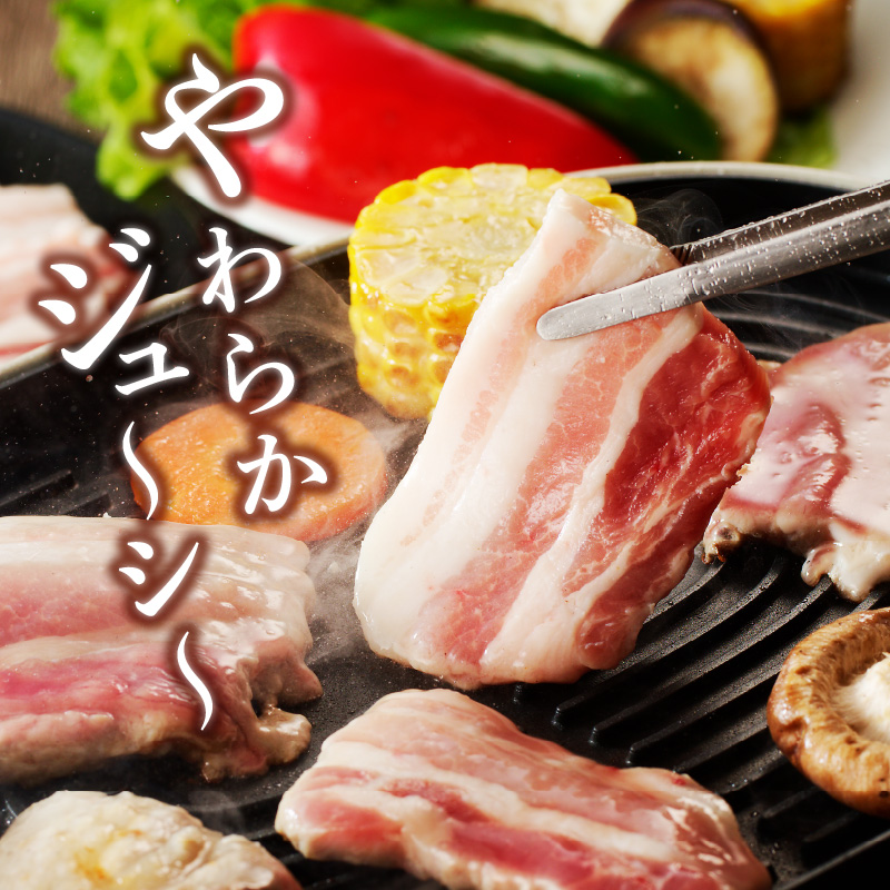 宮崎ブランドポーク 豚バラ 焼肉 500g　A0103