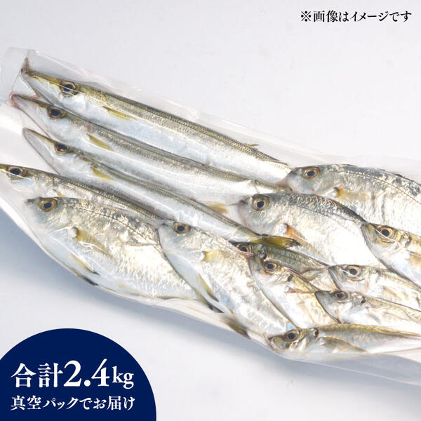 【単月お届け】大和海商の朝どれ鮮魚小魚パック2.4kg N072-YA2229