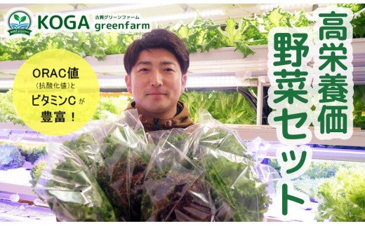 高栄養価野菜セット N056-YZA506