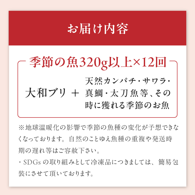 【12ヶ月定期便】大和海商　こだわり漁師のお刺身　4人前　N072-G0143