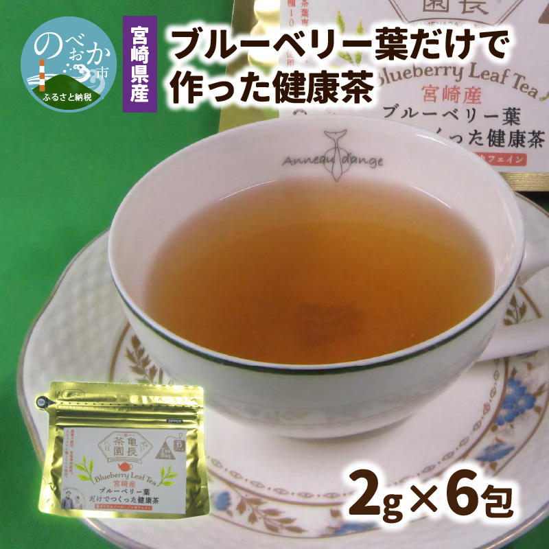 宮崎県産 ブルーベリー葉 だけで作った 健康茶 ポリフェノール　N048-YZA095