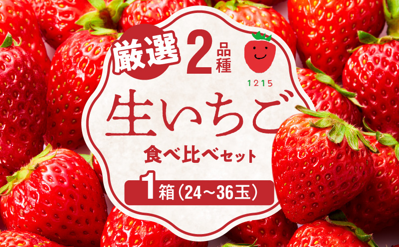 生いちご 厳選 2品種 食べ比べセット いちにのいちご園（2025年1月から発送開始）N085-YA3318