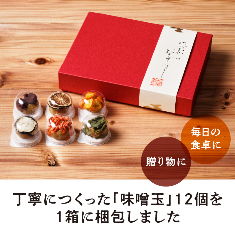 乾燥野菜と味噌玉「みそ丸子」12個入りセット　A152