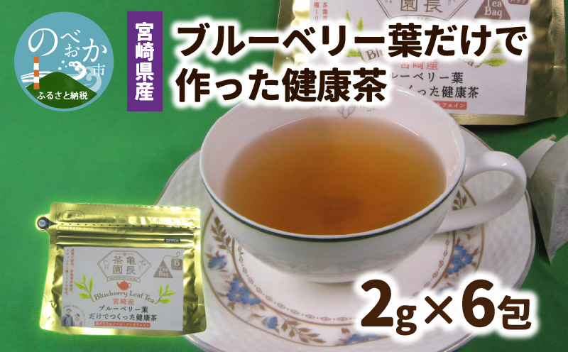 宮崎県産 ブルーベリー葉 だけで作った 健康茶 ポリフェノール　N048-YZA095