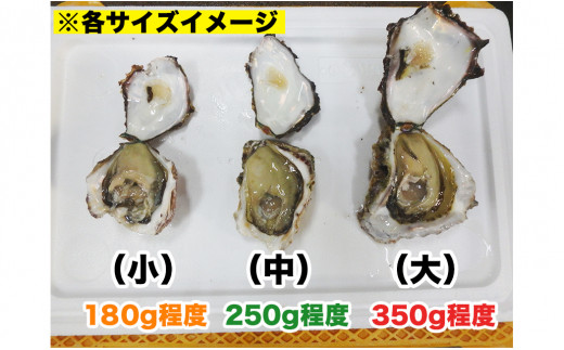 延岡産天然岩牡蠣（生食用）3kg（小）（2024年4月1日から発送開始）　N036-ZA525