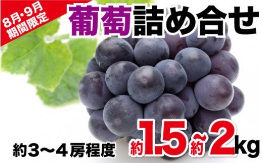 [先行予約]葡萄Aセット 約1.5kg〜約2kg(2021年8月発送開始)