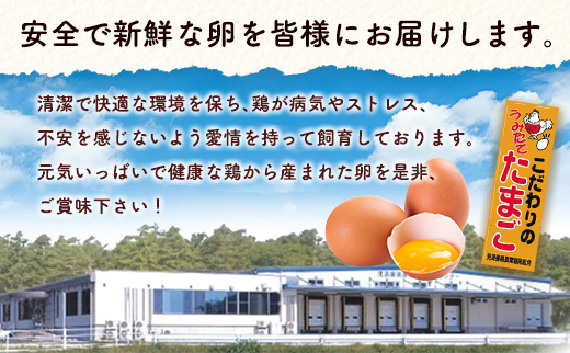 ＜児湯養鶏自慢の卵 ＞ネッカリッチ赤たまご「児湯一番」計40個（20個入×2箱）【B19】