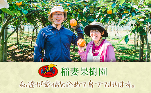 稲妻果樹園の『梨』 3kg以上 ※2022年7月下旬～9月中旬の収穫期間内に出荷【A225】