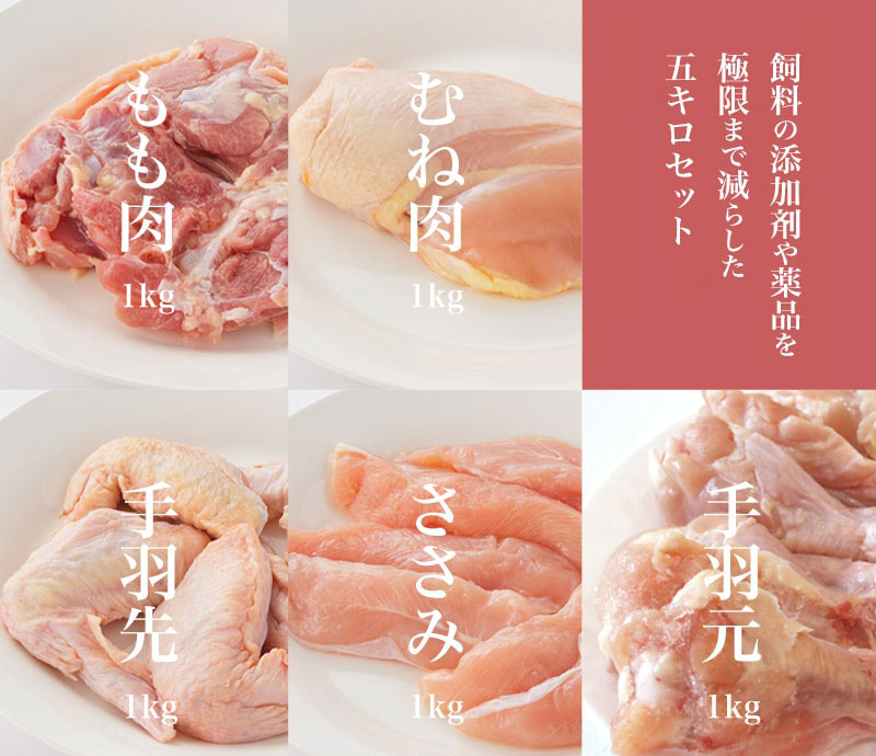 宮崎県産若鶏まるごと5種5kgセット【C135】