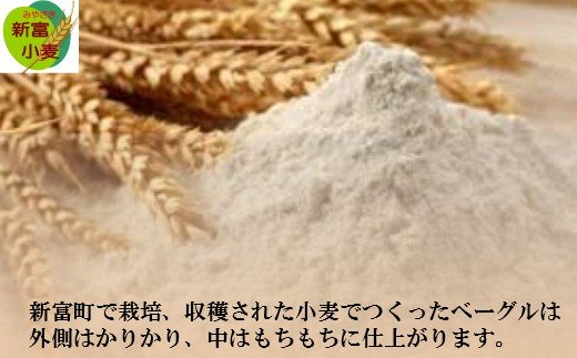 添加物不使用＜新富町産小麦で作ったベーグル 全7種 11個入り＞【A129】