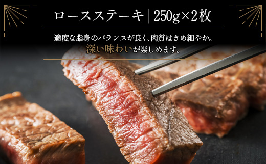 ≪肉質等級A4ランク≫宮崎牛 ロースステーキ 合計500g（250g×2枚）【C346】