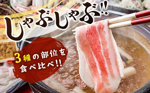 宮崎県産 豚しゃぶしゃぶ三種盛り食べ比べセット 合計2.2kg ※ご入金月の翌月中に出荷【B584】
