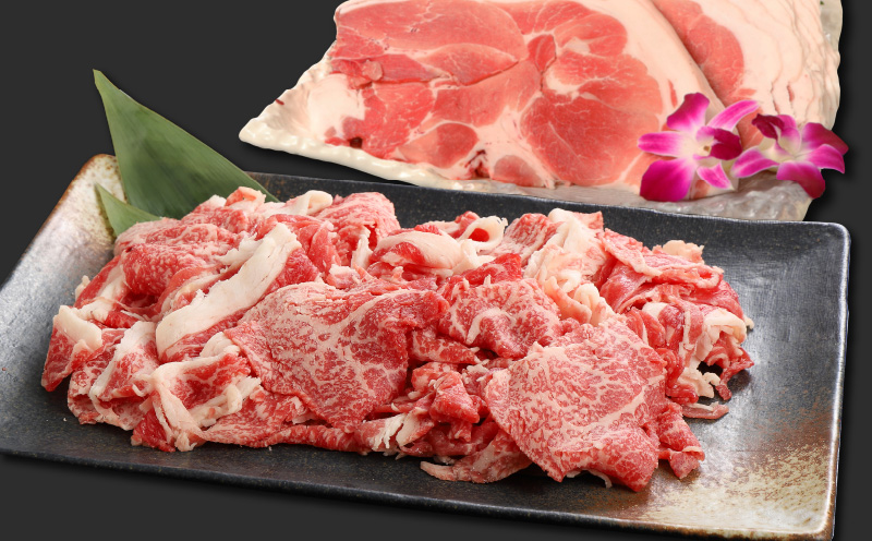 牛肉＆豚肉切り落としセット【合計2kg】 K16_0056