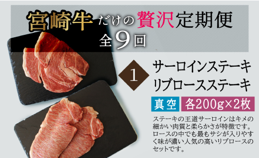 宮崎牛食べ比べ贅の極み9ヶ月コース 合計5.48kg 【定期便】