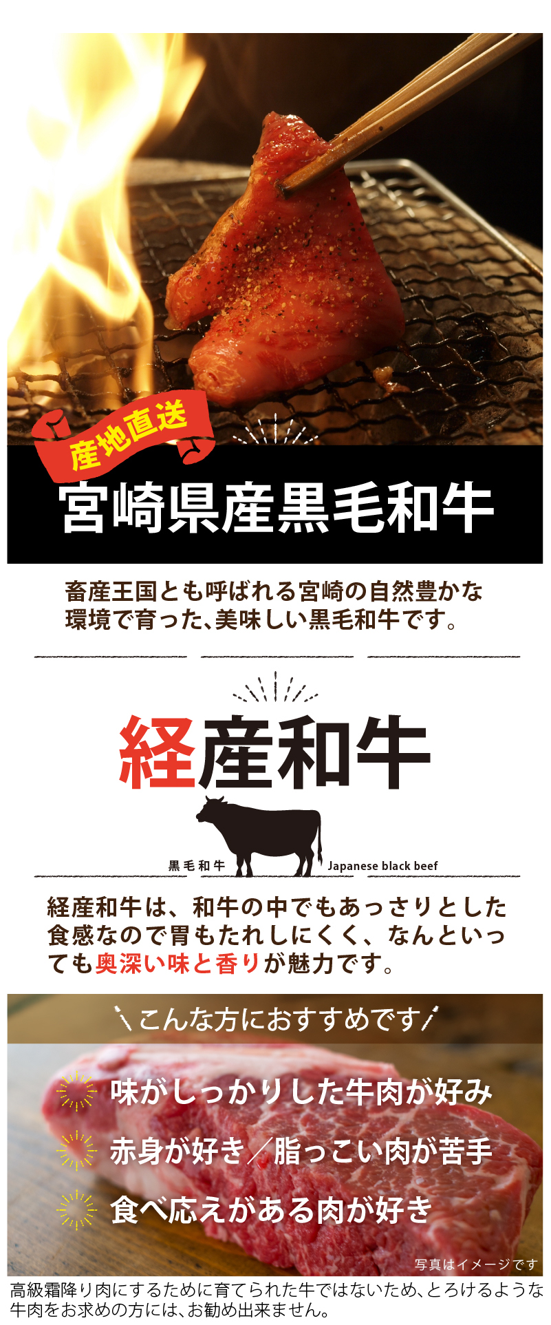宮崎県産黒毛和牛赤身焼肉500g