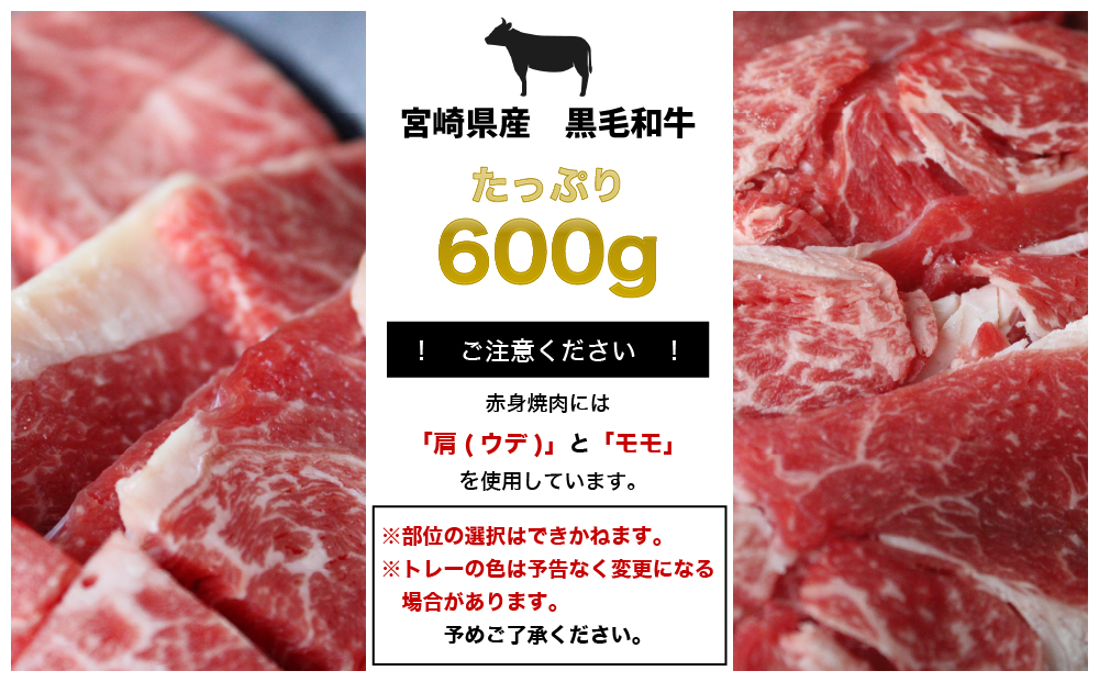宮崎県産黒毛和牛焼肉・スライスセット合計600g - ふるさとパレット ～東急グループのふるさと納税～