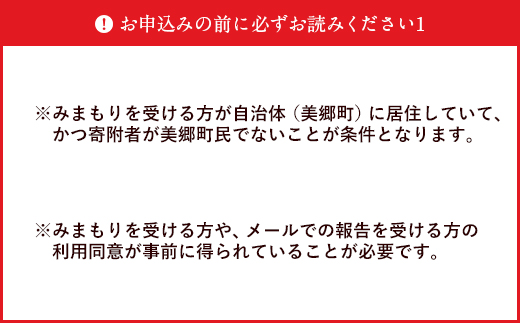 郵便局 みまもり サービス 訪問 3ヵ月 年3回 [日本郵便 宮崎県 美郷町 31bk0004] 家族 健康 安否確認 代行 高齢者 見守り 故郷 親 両親