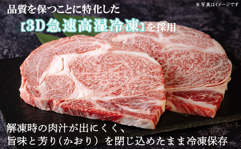 宮崎牛 A4 ロース 赤身 スライス セット 各250g 計500g すき焼きのタレ付き ギフト箱入り [南海グリル 宮崎県 美郷町 31bg0009] 冷凍 ブランド牛 送料無料 国産 牛 肉 南海グリル 贈り物 プレゼント ギフト 父の日 母の日 お歳暮 特製たれ ３D急速高湿冷凍 旨味 リブロース モモ