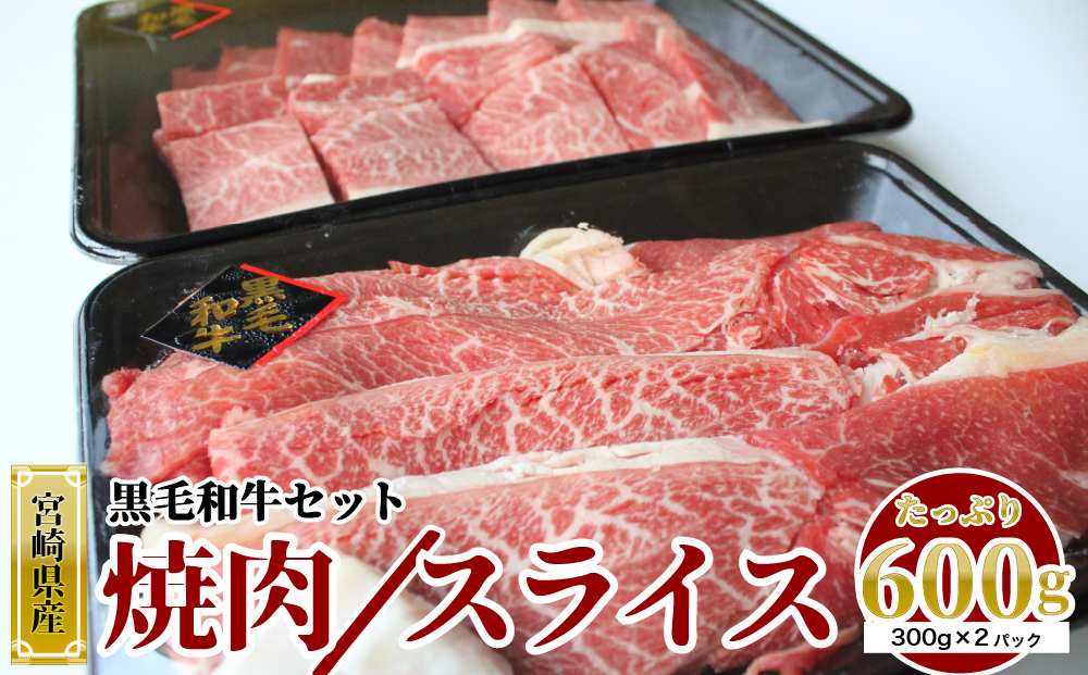 宮崎県産黒毛和牛焼肉・スライスセット合計600g - ふるさとパレット