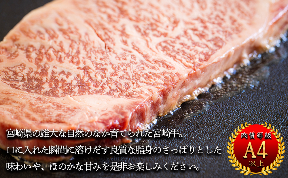 【５回定期便】 宮崎牛 特上 ロース ステーキ 600g (300g×2枚) 合計3kg 真空包装 小分け A4等級以上 牛肉 黒毛和牛 焼肉 BBQ バーベキュー キャンプ サシ 霜降り 贅沢 とろける 柔らかい やわらかい ジューシー 丼 毎月届く 予約 ギフト プレゼント