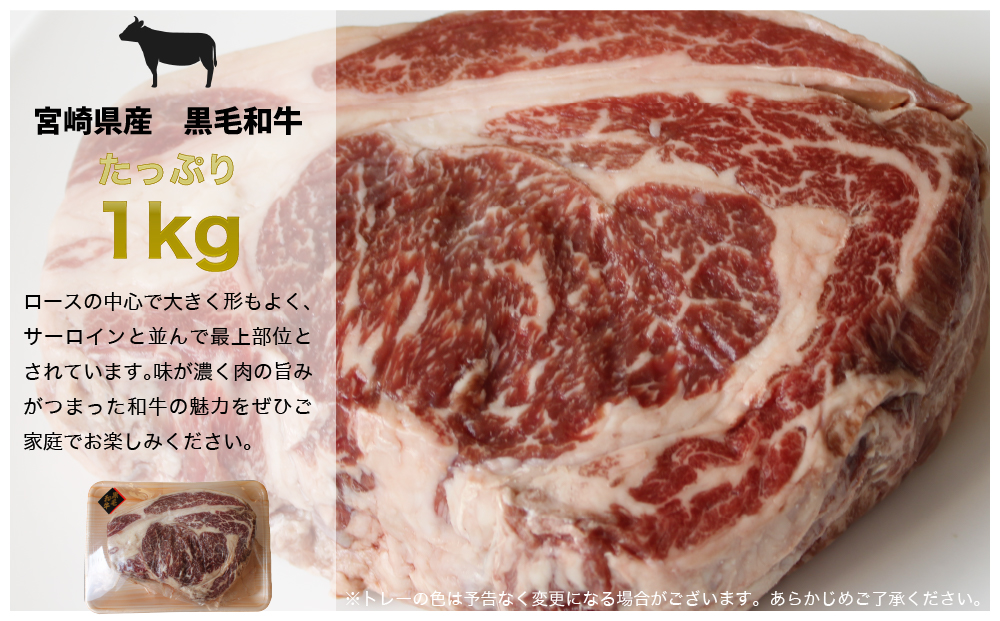 宮崎県産黒毛和牛リブロースブロック1kg