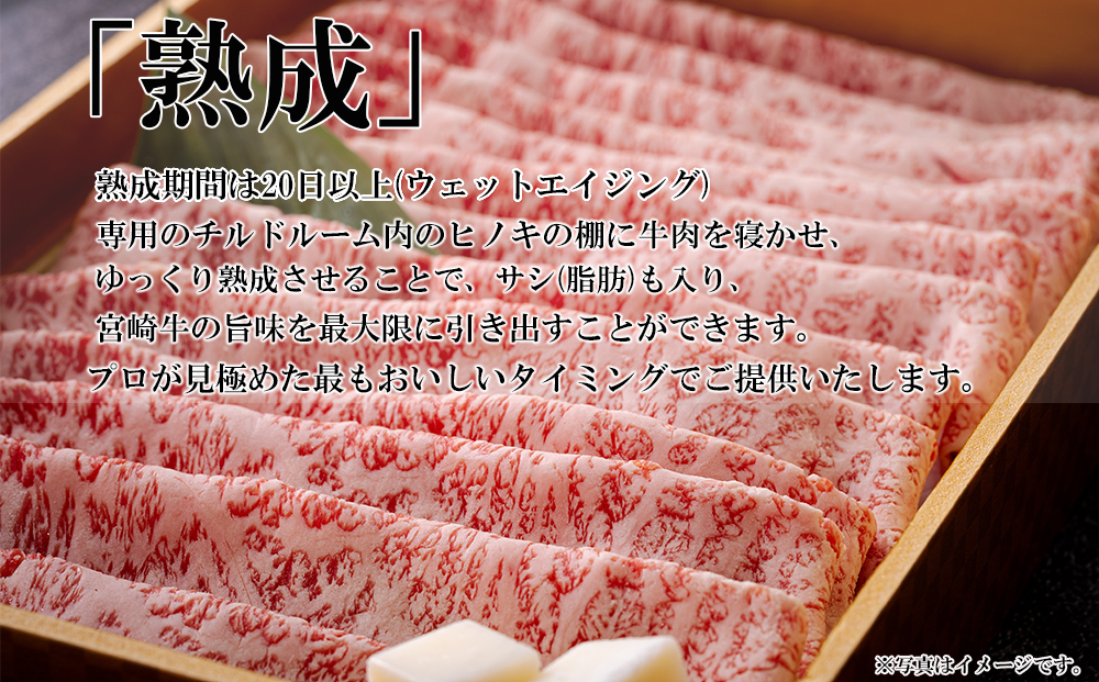 宮崎牛 A4 ロース 赤身 スライス セット 各250g 計500g すき焼きのタレ付き ギフト箱入り [南海グリル 宮崎県 美郷町 31bg0009] 冷凍 ブランド牛 送料無料 国産 牛 肉 南海グリル 贈り物 プレゼント ギフト 父の日 母の日 お歳暮 特製たれ ３D急速高湿冷凍 旨味 リブロース モモ