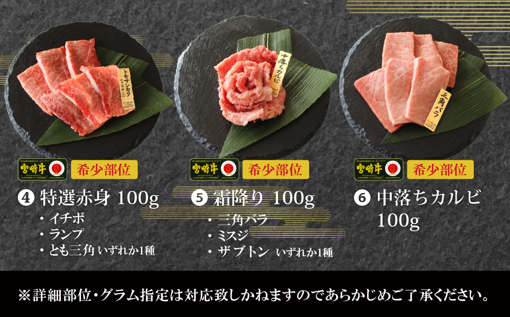 【宮崎牛】 特選 食べ比べ 焼肉 6種盛り 600g [SHINGAKI 宮崎県 美郷町 31ag0080] ロース カルビ 赤身 霜降り 特選赤身 中落カルビ 希少 冷凍 内閣総理大臣賞受賞 宮崎県産 九州産 送料無料 焼肉 BBQ バーベキュー キャンプ