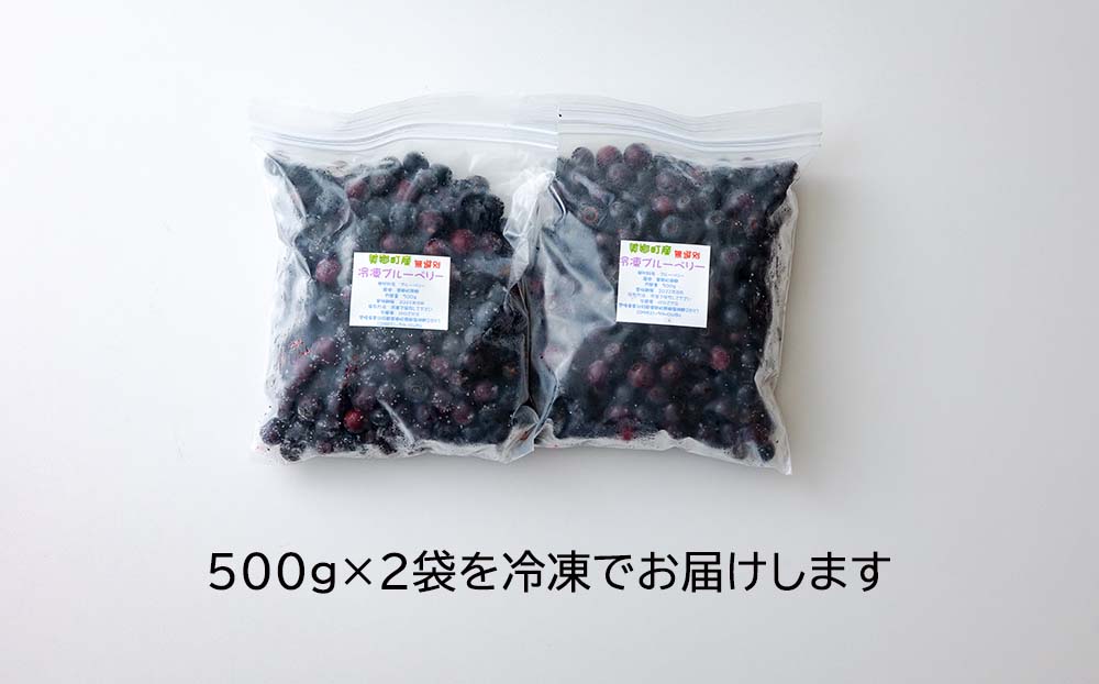 冷凍ブルーベリー1kg(500g×2）