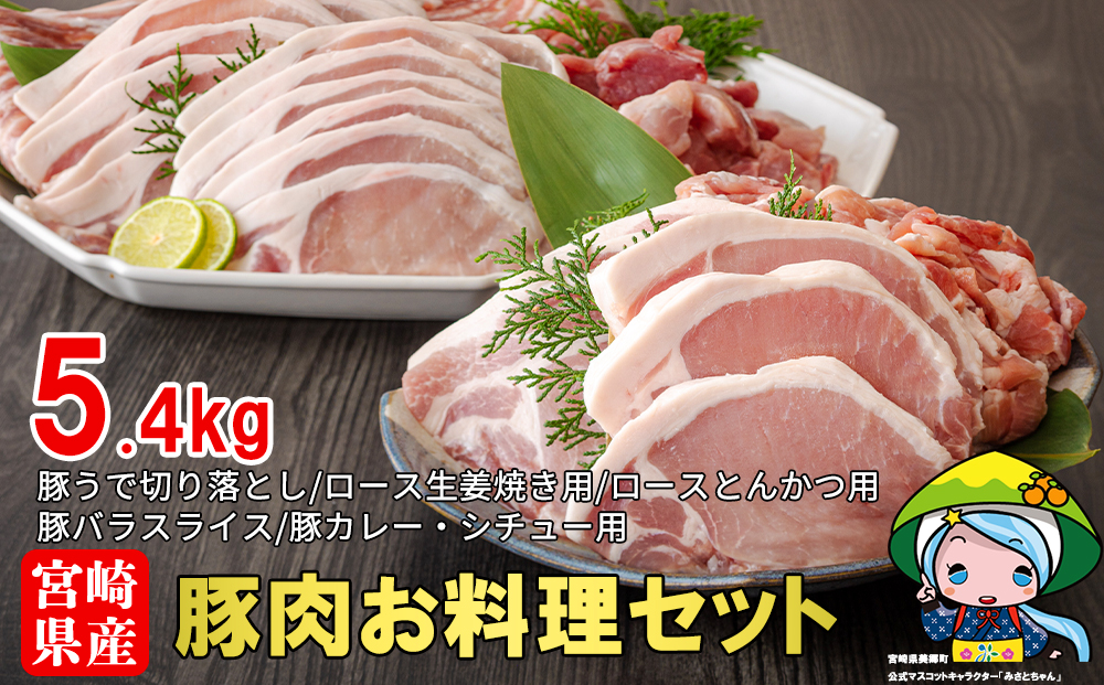 豚肉 小分け 切り落とし ロース 豚バラ スライス お料理セット 計5.4kg [甲斐精肉店 宮崎県 美郷町 31as0046] 肉 冷凍 宮崎県産 豚 送料無料 とんかつ 生姜焼き カレー シチュー ウデ 腕 切落し 詰め合わせ 真空包装 収納スペース うす切り 薄切り 調理 料理 おかず 丼 揚げ 煮込み 炒め物