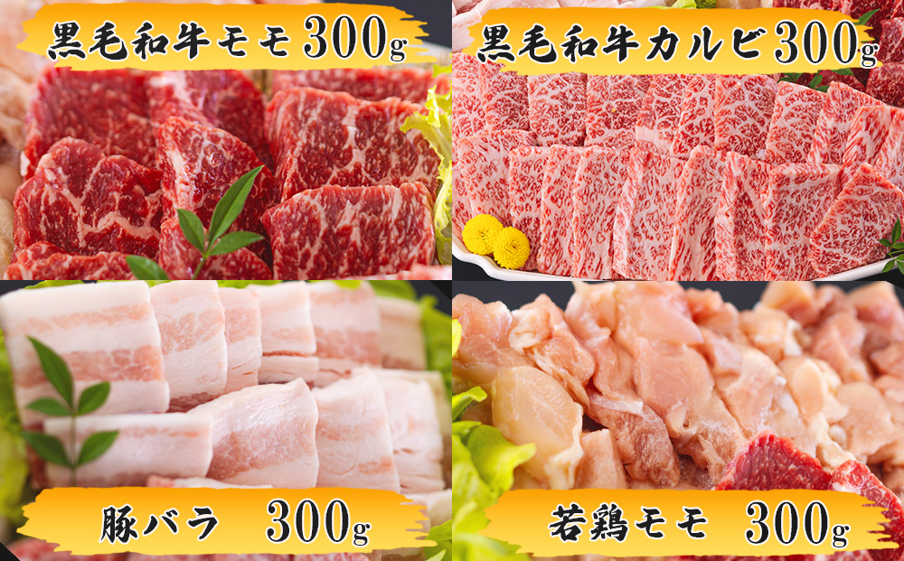 牛肉 5回 定期便 宮崎県産 焼肉 セット 黒毛和牛 モモ カルビ 豚バラ 若鶏 モモ 各 300g 計 6kg [サンアグリフーズ 宮崎県 美郷町 31ba0038] 小分け 冷凍 国産 詰め合わせ 経産牛 もも肉 モモ 牛 豚 鶏