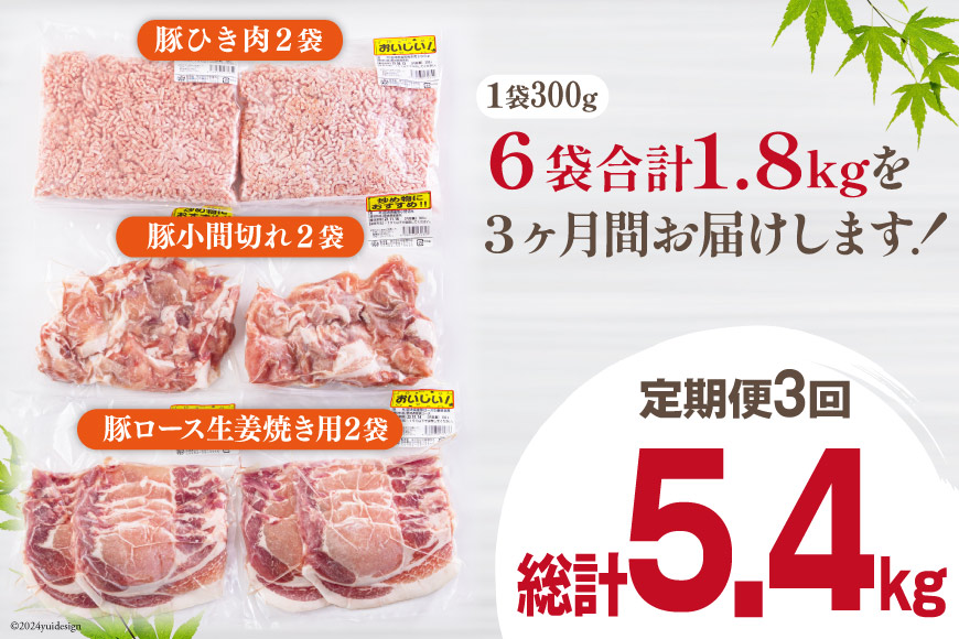 3回 定期便 宮崎県産 豚肉 ３種 セット ひき肉 こま切れ ロース生姜焼き用 小分け 合計5.4kg 各300g×2 [甲斐精肉店 宮崎県 美郷町 31as0067] 冷凍 宮崎県産 豚 肉 送料無料 炒め物 煮込み 豚丼 そぼろ丼 ハンバーグ 豚汁 キーマカレー 詰め合わせ 真空包装 挽き肉 ミンチ 小間切れ