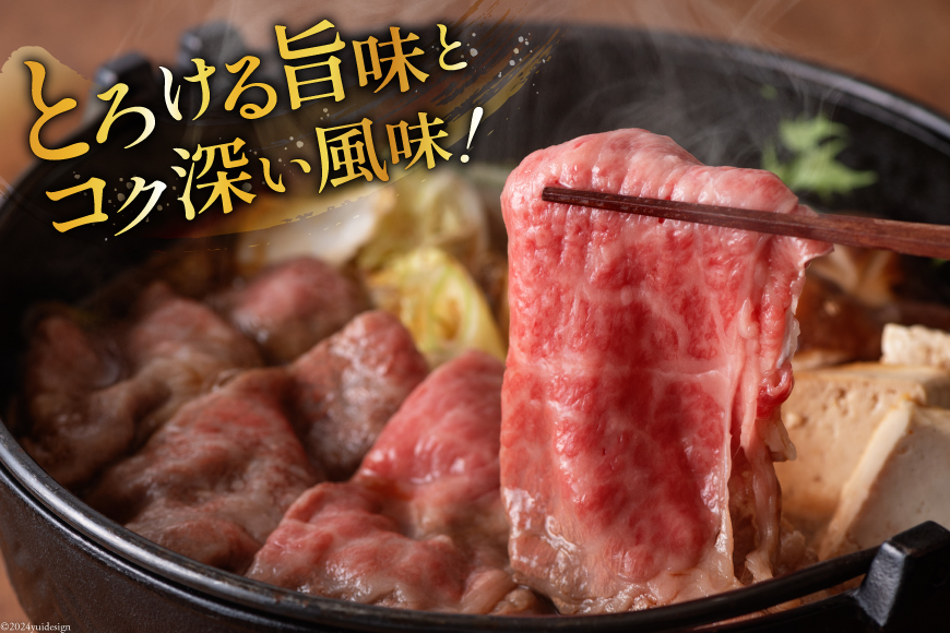 牛肉 定期便 宮崎牛スライスセット 6ヶ月定期便 [ミヤチク 宮崎県 美郷町 31au0060] 冷凍 スライス 小分け 個包装 牛モモ 牛バラ 牛 牛ロース 牛肩ロース