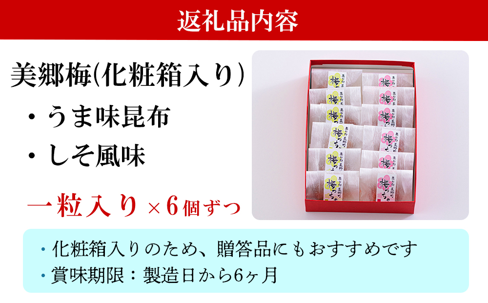 南高梅 梅干し 美郷梅 一粒入り うま味昆布 & シソ風味 各6粒 3Lサイズ A級品 化粧箱入り [農林産物直売所 美郷ノ蔵 宮崎県 美郷町 31ab0101] 国産 セット 詰め合わせ 宮崎県産 美郷産 常温 送料無料 贈答品 父の日 母の日 プレゼント ギフト