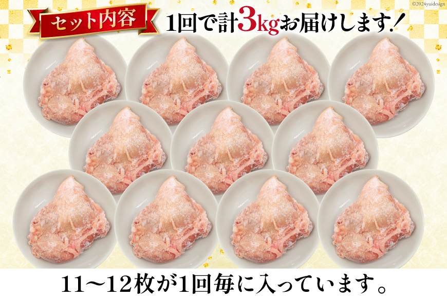 定期便 肉 鶏肉 12回定期便 若鶏もも身11～12パック 計3kg [九州児湯フーズ 宮崎県 美郷町 31aj0033] 冷凍 小分け 個包装  鶏もも肉 もも肉 モモ肉